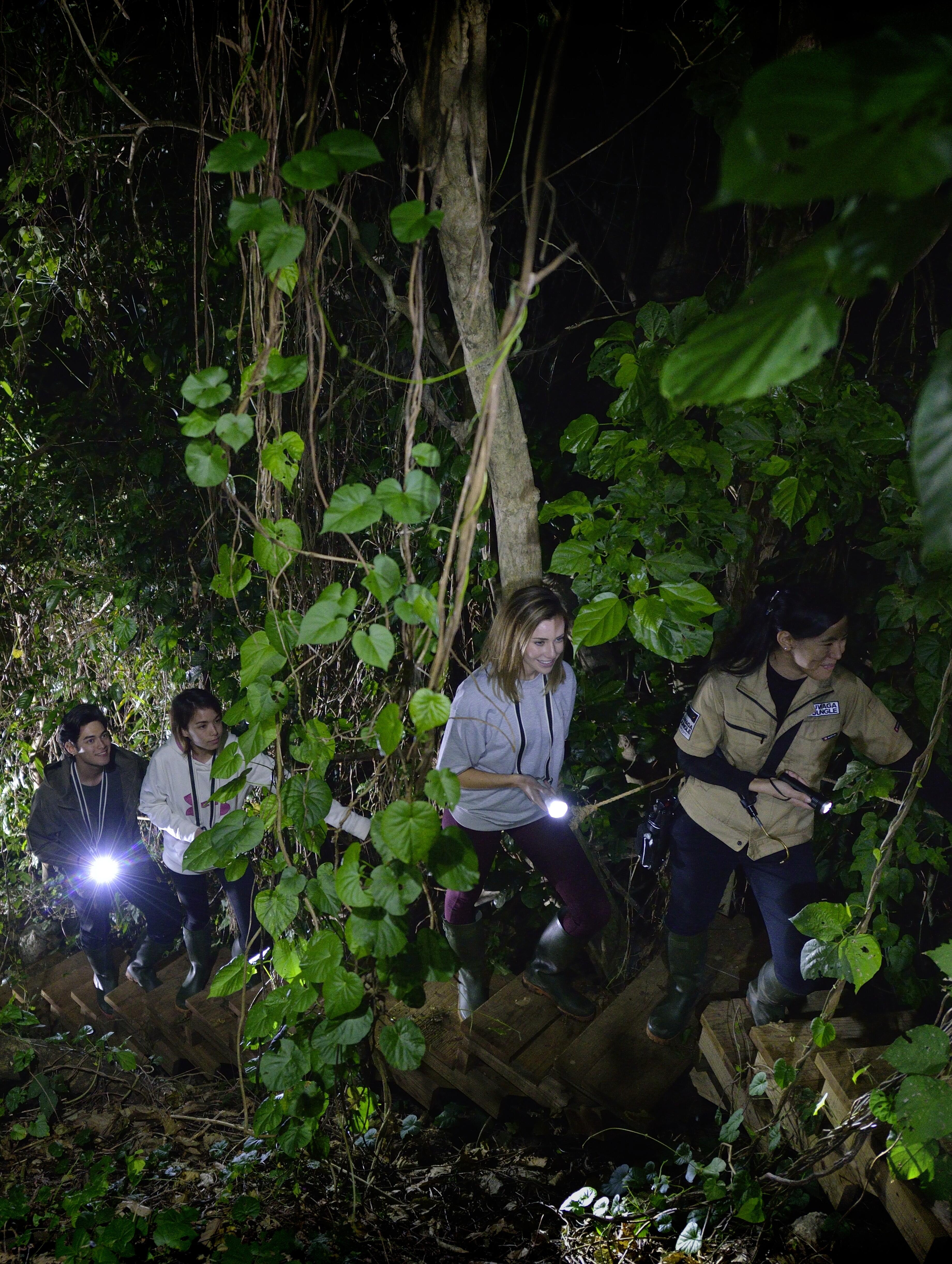 UWAGA JUNGLE?(2).jpg