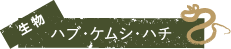 生物HABU(龟壳花蛇)、金龟子、蜂