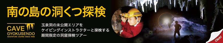 前往南岛洞窟探险页